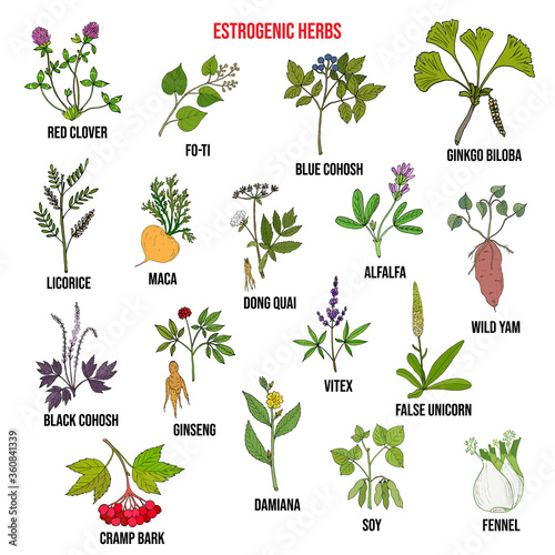 Best estrogenic herbs collection