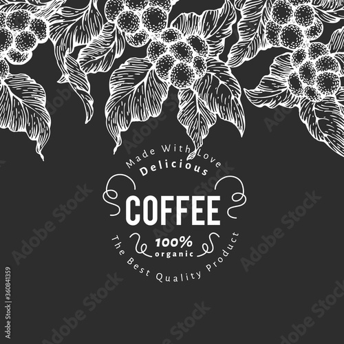 Hand drawn coffee design template. Vector coffee plants illustrations on chalk board. Vintage natural coffee background