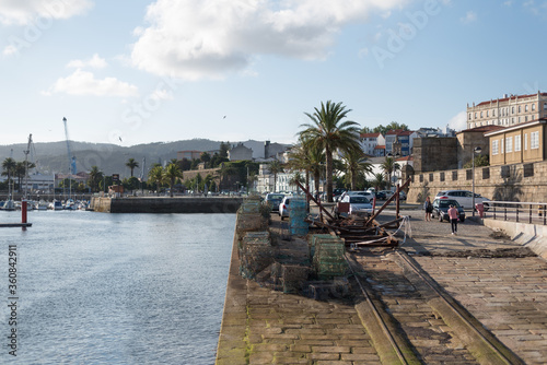City port dock of Ferrol Galiza on sunny day of summer, sea palm tree