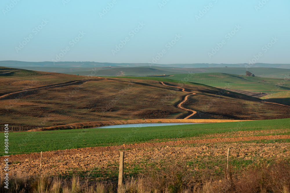 Hills on farmland with winding dirt road