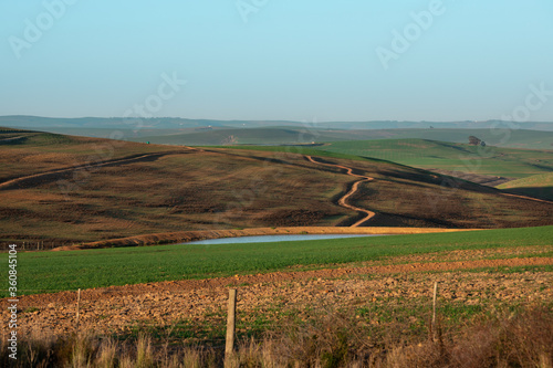 Hills on farmland with winding dirt road