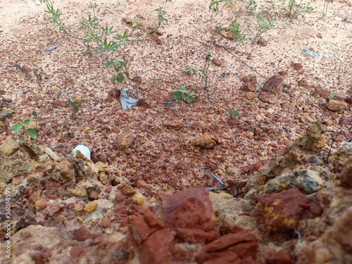 Wallpaper Mural Rocks that were bitten by water Torontodigital.ca