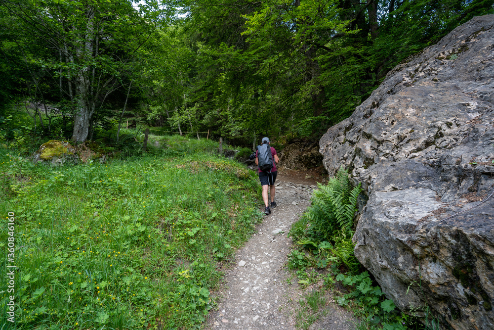 Weisstannental in der Schweiz Weisstannental in der Schweiz