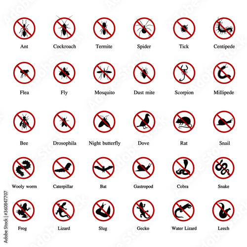harmful insect, dangerous animal icon set