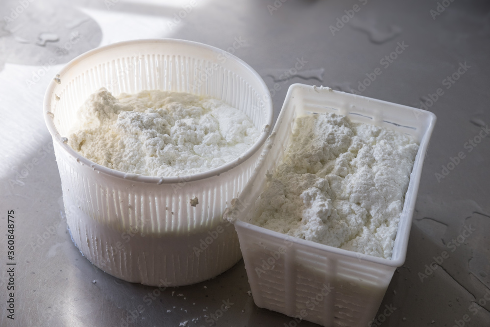 A round and rectangular plastic container and mould filled with fresh made ricottya cheese on a stainless steel table