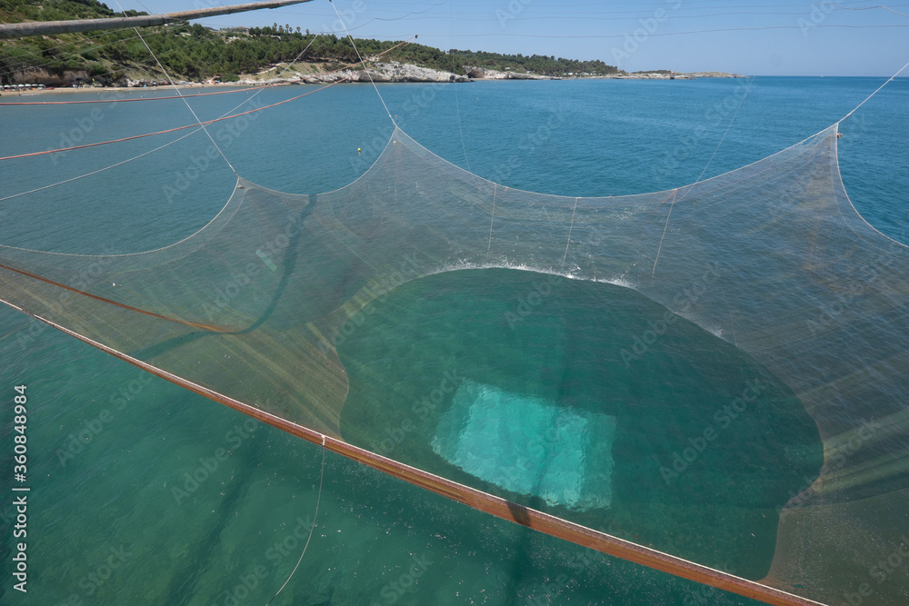 A huge fishing net is pulled up by ropes in a traditional fishing trabucco at the sandy beach with rocks of Vieste in Italy. The fish is in the white part of the net