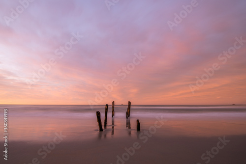 Beautiful sunrise of old jetty piles at St. Clair Beach in Dunedin, New Zealand.