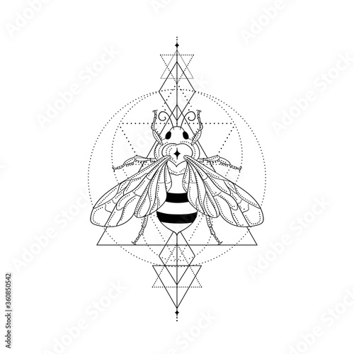 Abstract black honey bee vector illustration and line art logo design elements