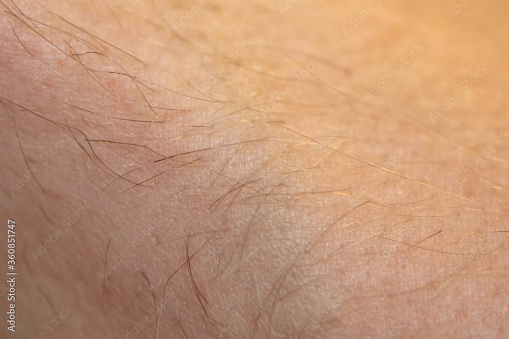 Fototapeta premium Close-up hair on human skin on a hand.