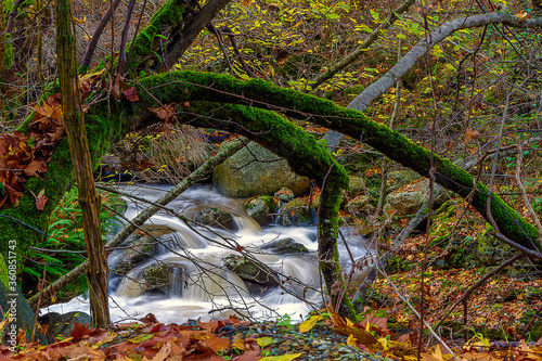 Cascade deep in the forests of Pieria, in Macedonia region, Greece. This is near the village of Skotina.
 photo