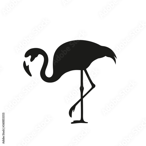 flamingo logo  isolated on white background	
