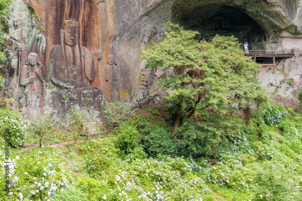 普光寺磨崖仏と紫陽花　大分県豊後大野市　hukoji Temple Buddha figure carved on a rock face and Hydrangea Ooita-ken Bungoo-no city