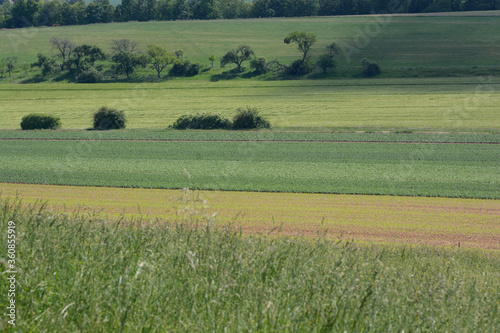 walk throuh the Region of Hanover photo