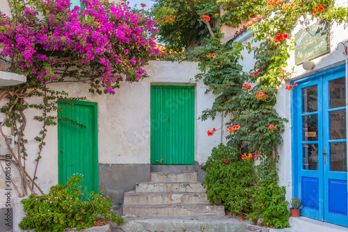 Traditional alley in Sigri village, Lesvos island. Coloured doors and colorful plants are everywhere to be seen in Lesvos' traditional villages.
