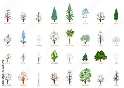 Big Vector cartoon set with winter trees isolated