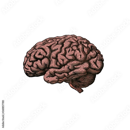 Imagen de un cerebro hecho con textura de mosaico - cerámica sobre fondo blanco