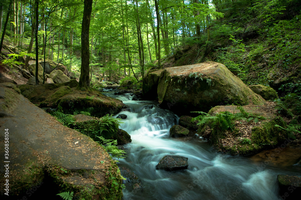 Wild and romantic Karlstal gorge in spring near Trippstadt Rhineland Palatinate, Germany Wild and romantic Karlstal gorge in spring near Trippstadt Rhineland Palatinate, Germany