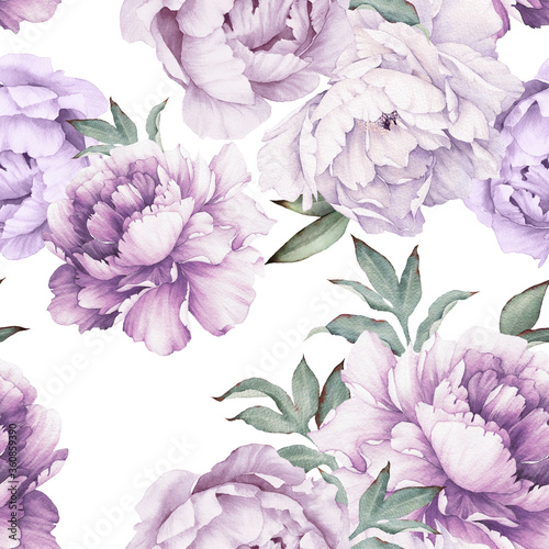 Fototapeta duże liljowe kwiaty piwoni