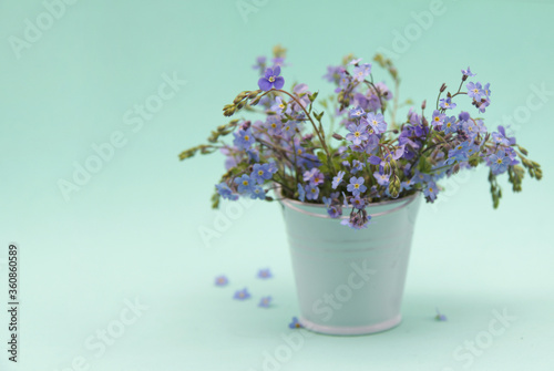 Blue forget-me-nots in a bouquet. Delicate wildflowers in a small white bucket on a soft blue background. A copy of the space.