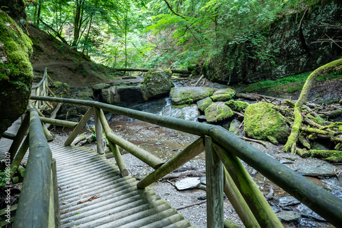 hiking trail along a brook in the forest with wooden bridges photo