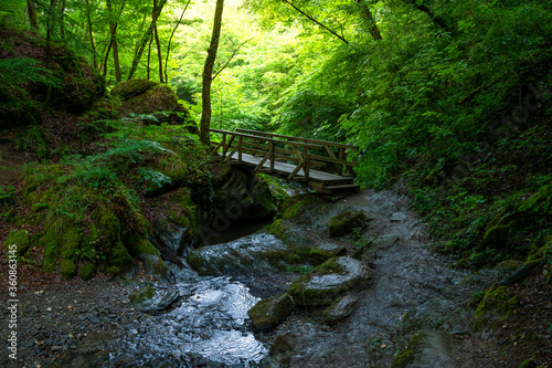 wooden bridges over the ehrbach in the ehrbachklamm