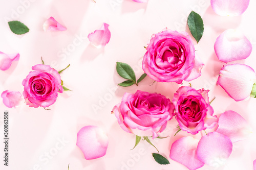 Pink roses