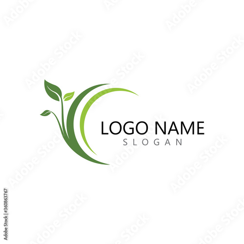 Logos of green Tree leaf ecology photo