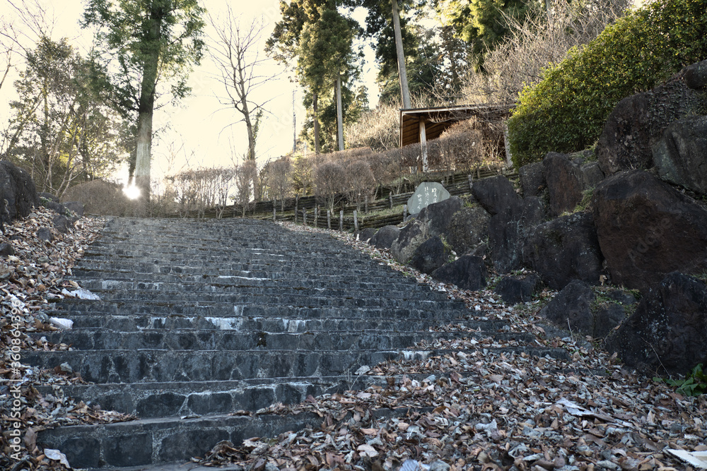 落ち葉と石階段