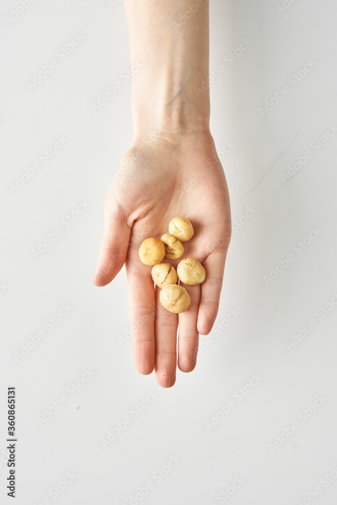 Healthy snack of macadamia in hand isolated on white background, healthy food and lifestyle,100 calories portion Healthy snack of macadamia in hand isolated on white background, healthy food and lifestyle,100 calories portion