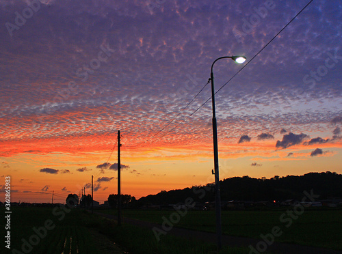 Electric light