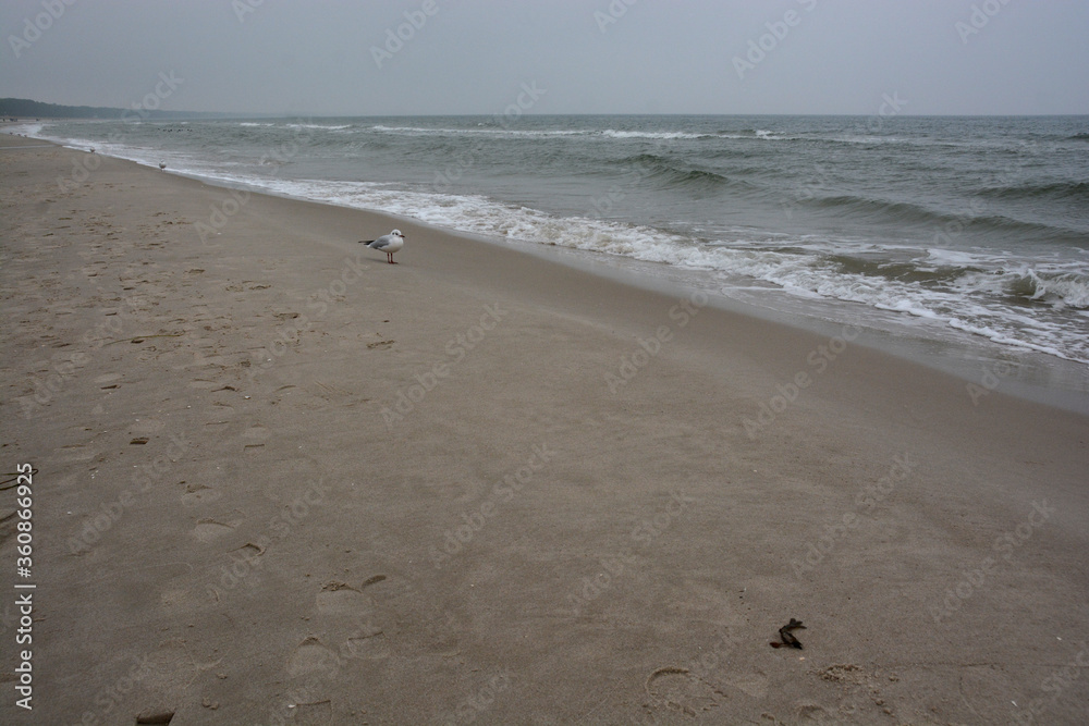 visiting Ruegen at the Baltic Sea