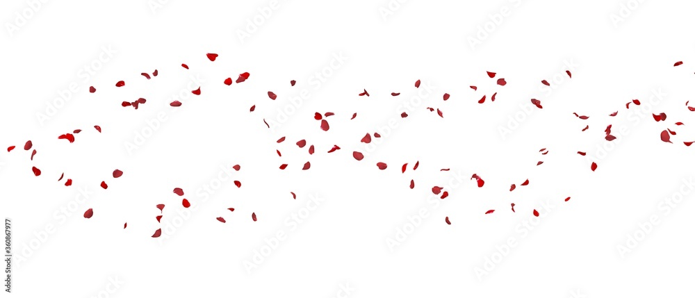 Red rose petals fly away