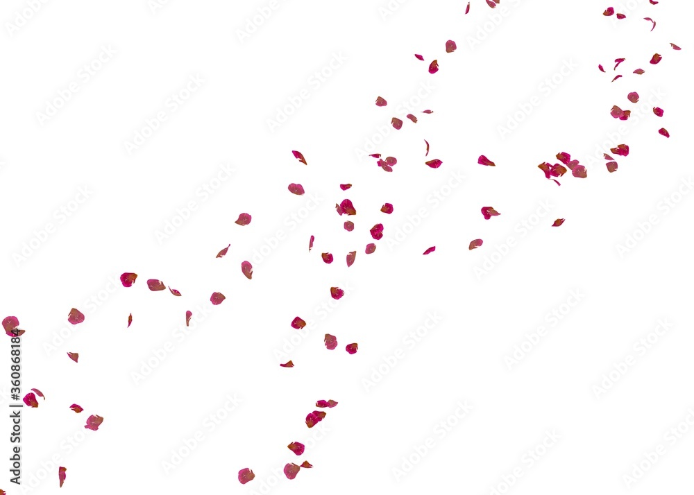 Red rose petals fly in the air Red rose petals fly in the air