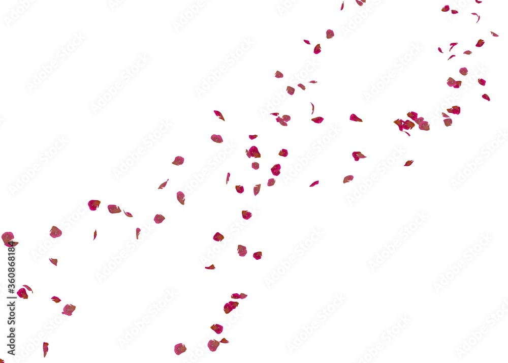 Red rose petals fly in the air