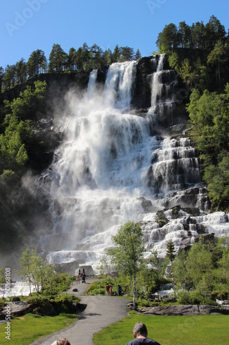 waterfall in the forest