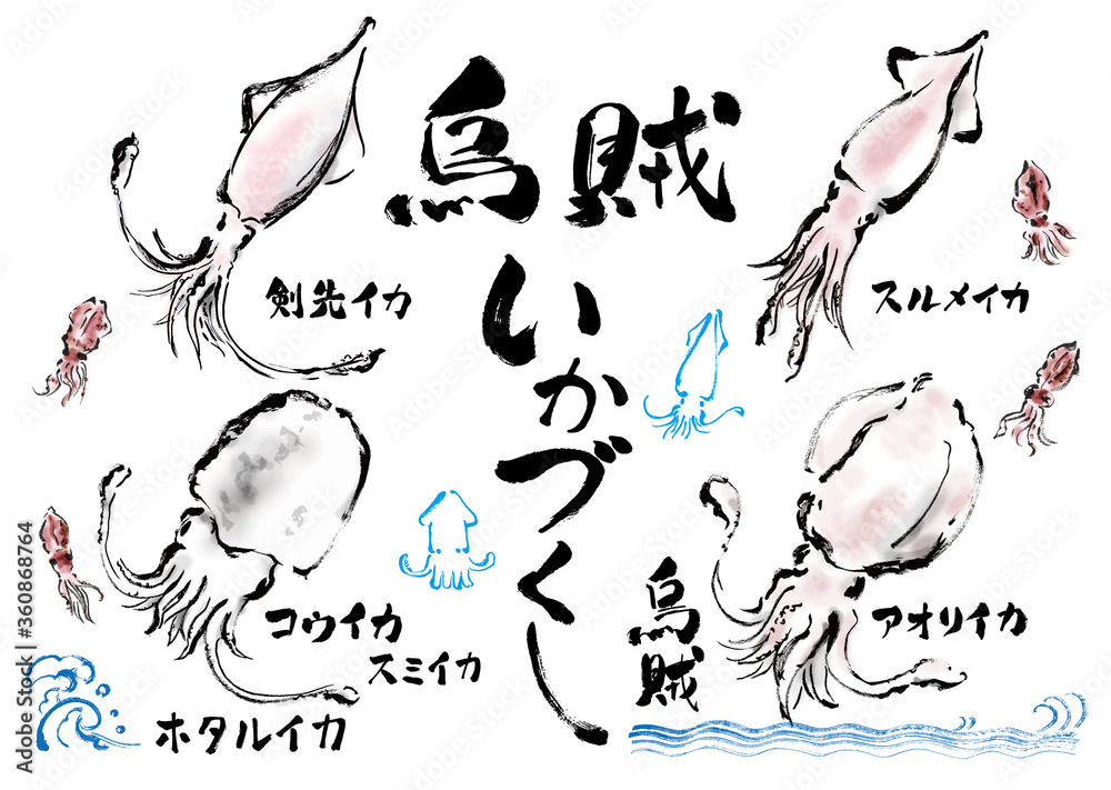 イカ いか 烏賊 剣先イカ スルメイカ するめいか するめ烏賊 スルメいか するめイカ アオリイカ コウイカ 甲いか 墨烏賊 スミイカ 甲烏賊 スルメ烏賊 モンゴウイカ ホタルイカ 剣先いか 剣先烏賊 いかづくし 食べ物 動物 生き物 食物 海 海の幸 海産物 白バック 白背景