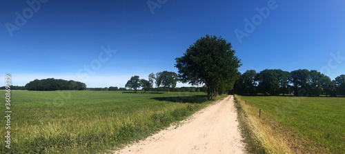 Sand road around Junne in Overijssel photo