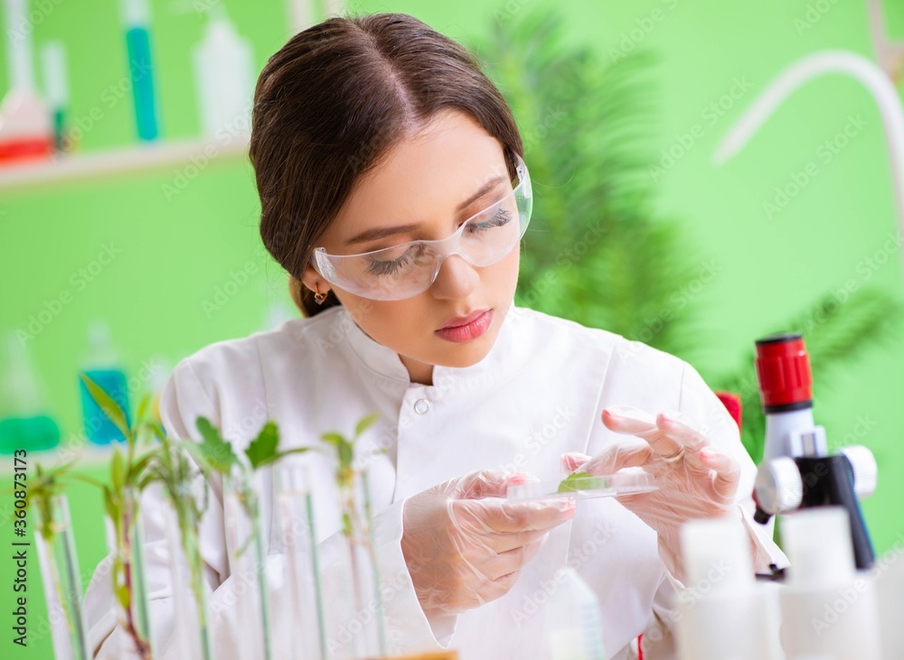 Beautiful female biotechnology scientist chemist working in lab Beautiful female biotechnology scientist chemist working in lab