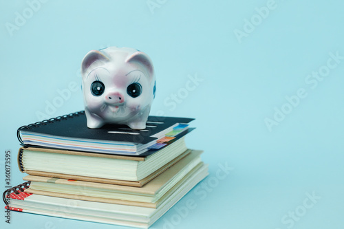 Saving piggy bank on books ...