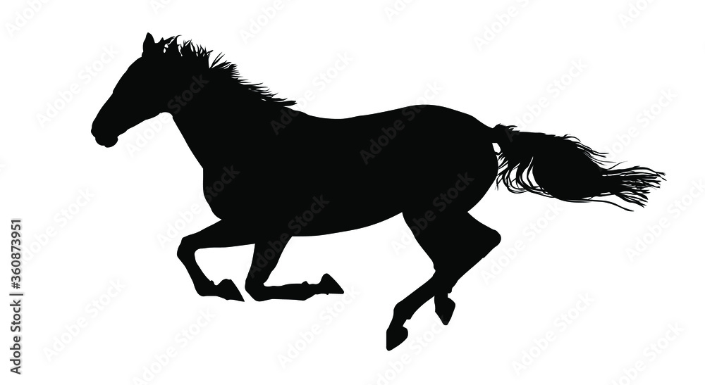 Obraz horse silhouette vector