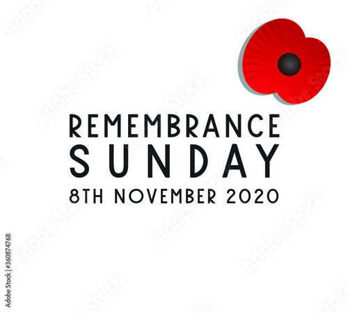 Remembrance Sunday poppies vector white background