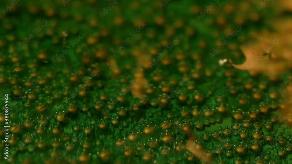 Copper. Copper oxidation process. Green bubbles close up. Chemical