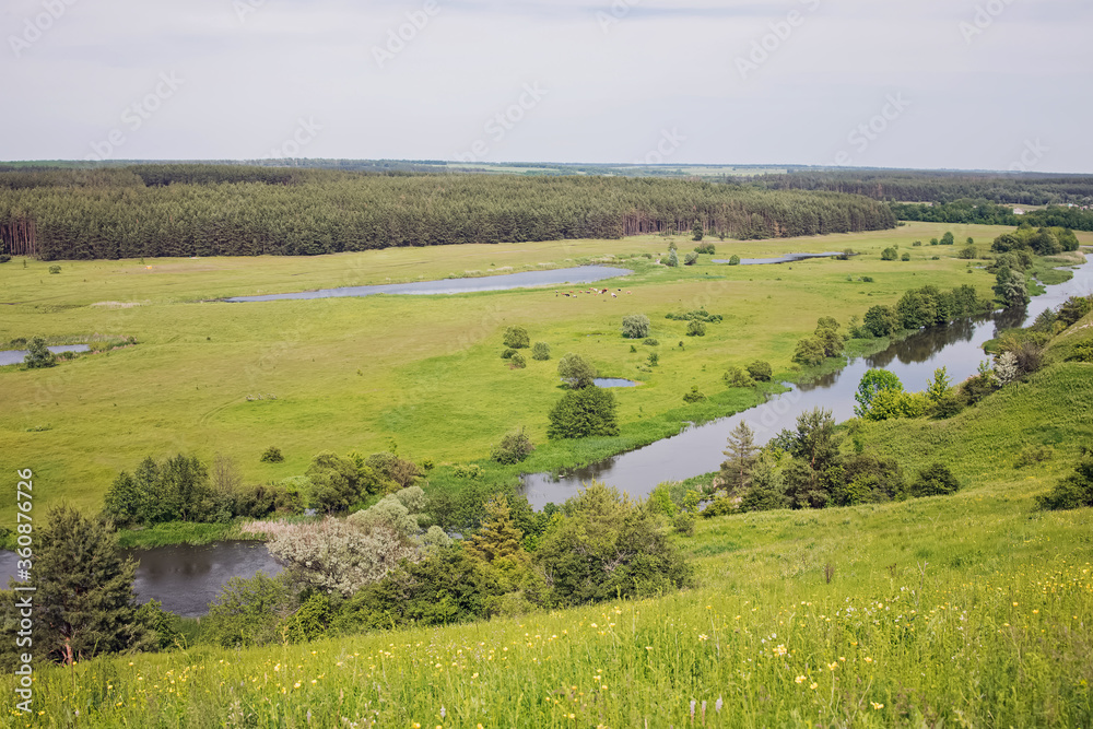Summer landscape with riverbed, green meadow and forest on the background.