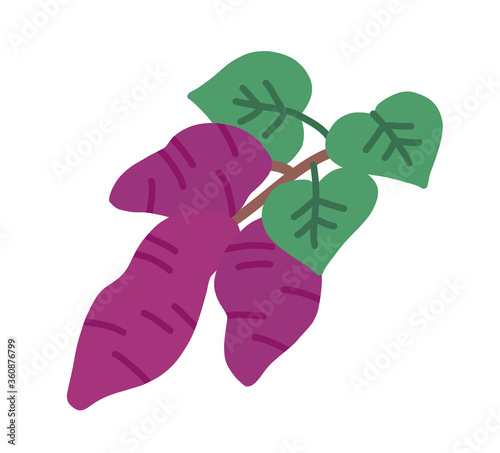 さつまいも サツマイモ 芋ほり 芋掘り ベクター イラスト Stock Vector Adobe Stock