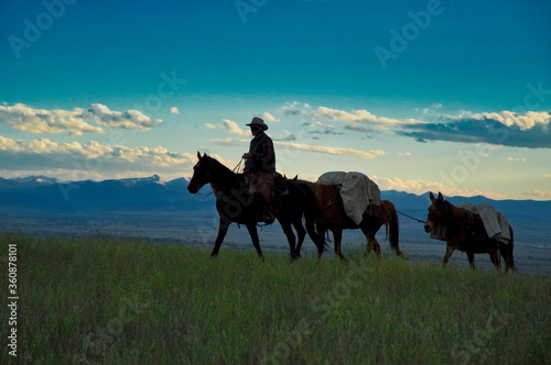 Cowboy on horseback with supply mules © outdoorsman