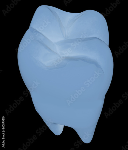 Tooth. 3d illustration. On a black background.