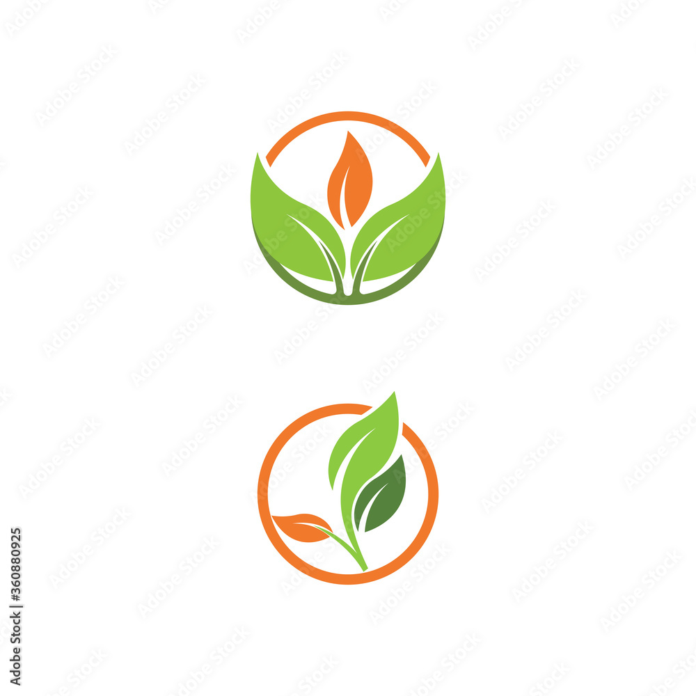 Leaf Logo Template vector symbol Leaf Logo Template vector symbol
