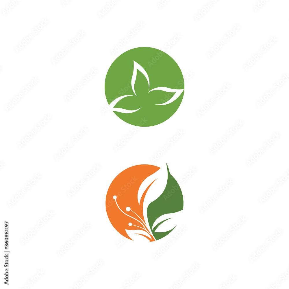 Leaf Logo Template vector symbol Leaf Logo Template vector symbol
