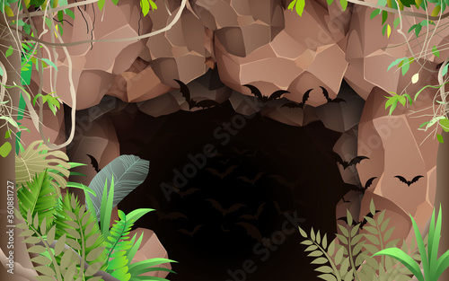 landscape of cave in the forest