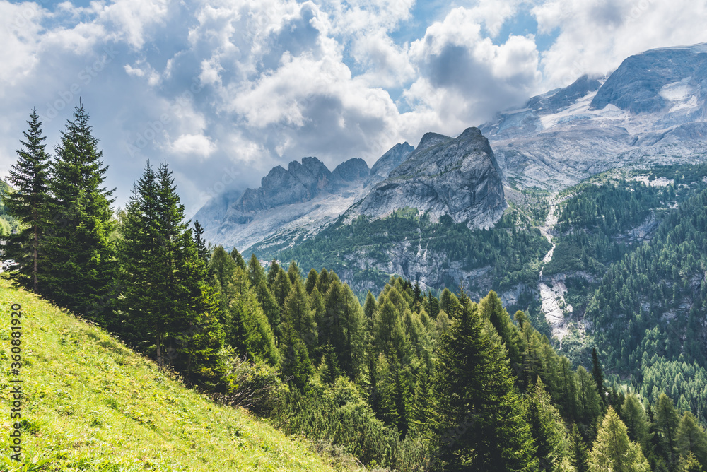 Dolomites rocks covered with evergreen forests under a bright cloudy sky